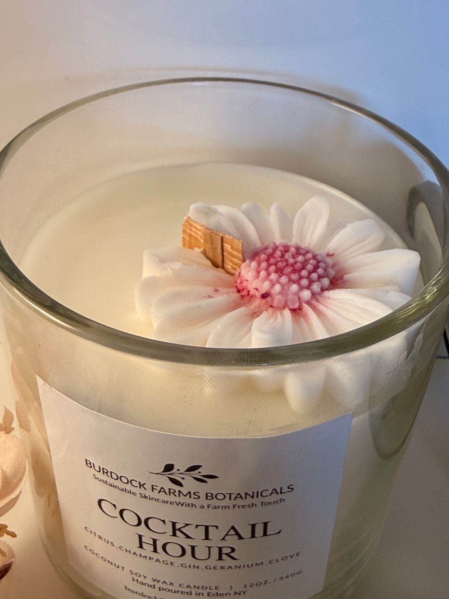 Coconut soy spring candle black lid top view handmade small batch Burdock Farms Botanicals
