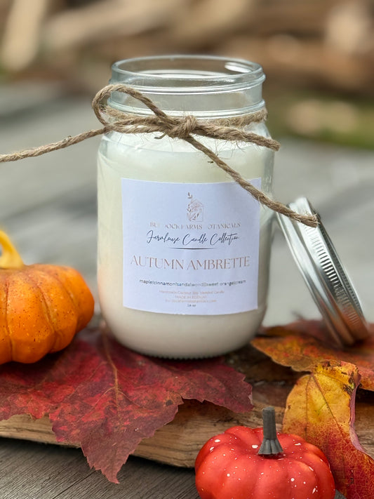 Fall Coconut Soy candle|Autumn Scents|Gift for her/him|Fall Decor|Host gift