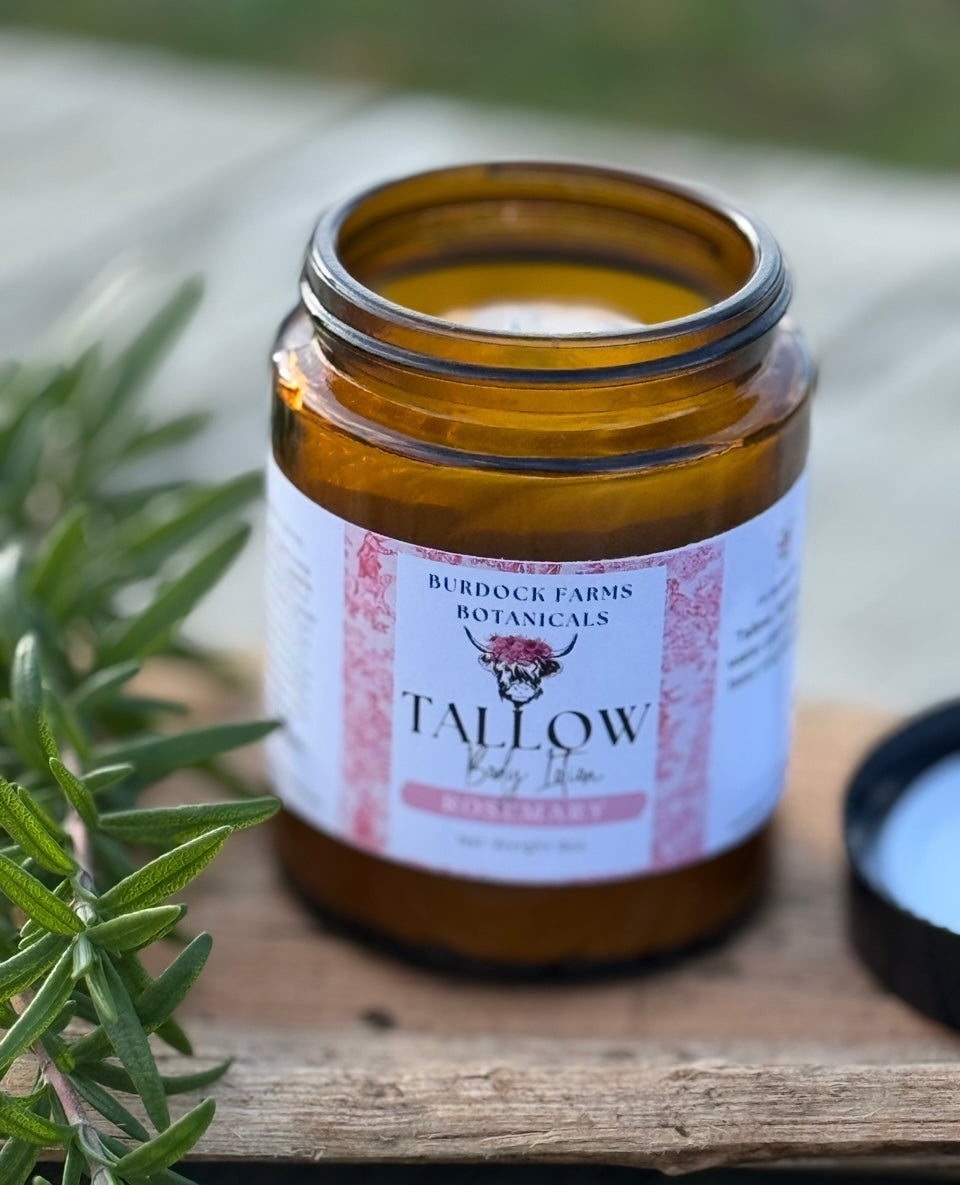 Tallow Whipped grass fed body Lotion , 6 oz calendula infused,natural,nourishing,moisturizing, all skin types