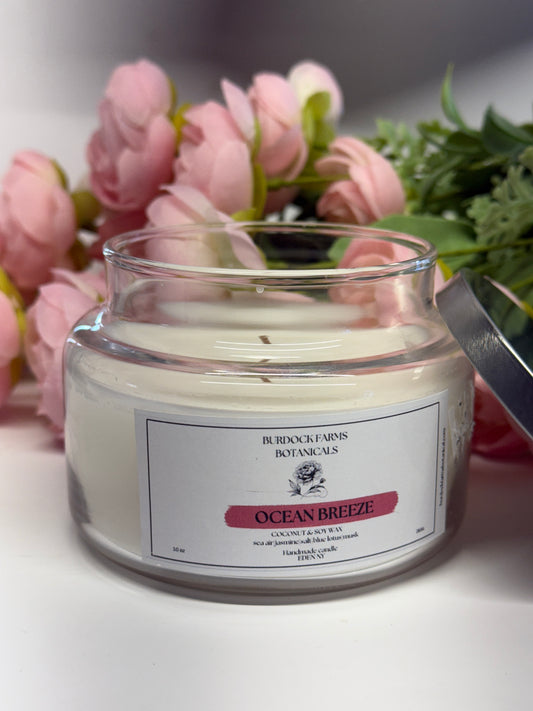 Signature Collection  Coconut Soy candles 10 oz
