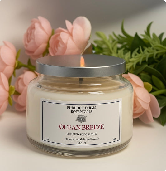 Signature Collection  Coconut Soy candles 10 oz