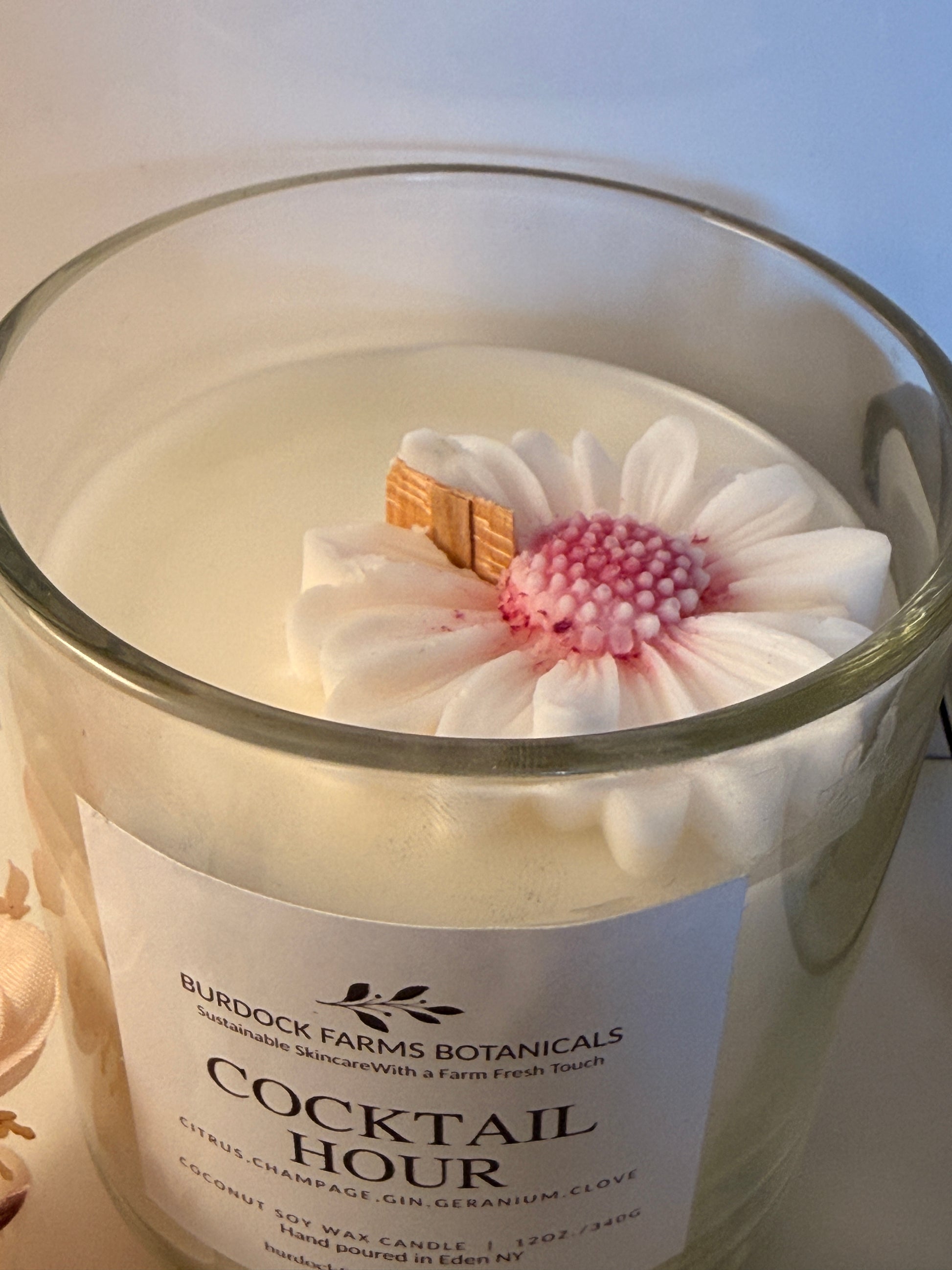 Coconut soy spring candle black lid top view handmade small batch Burdock Farms Botanicals